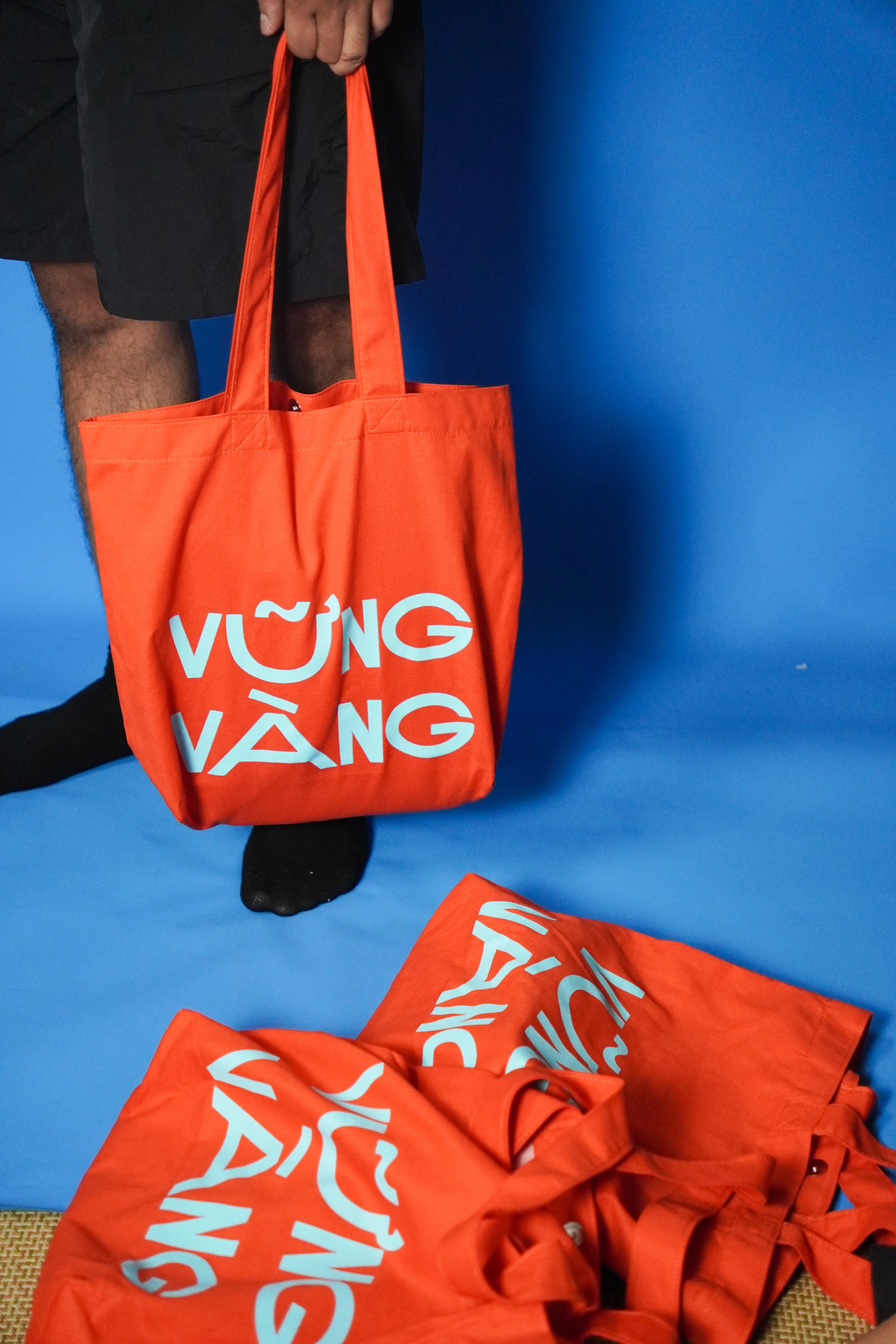 Túi Vững Vàng — ảnh 3