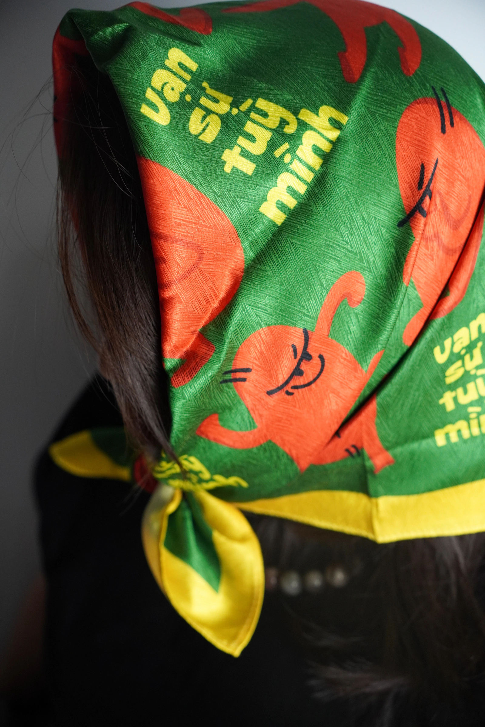 Bandana Vạn Sự Tuỳ Mình — ảnh 4